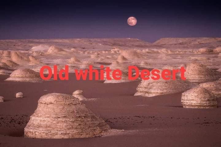 One Love Guesthouse & Restaurant الأقصر المظهر الخارجي الصورة