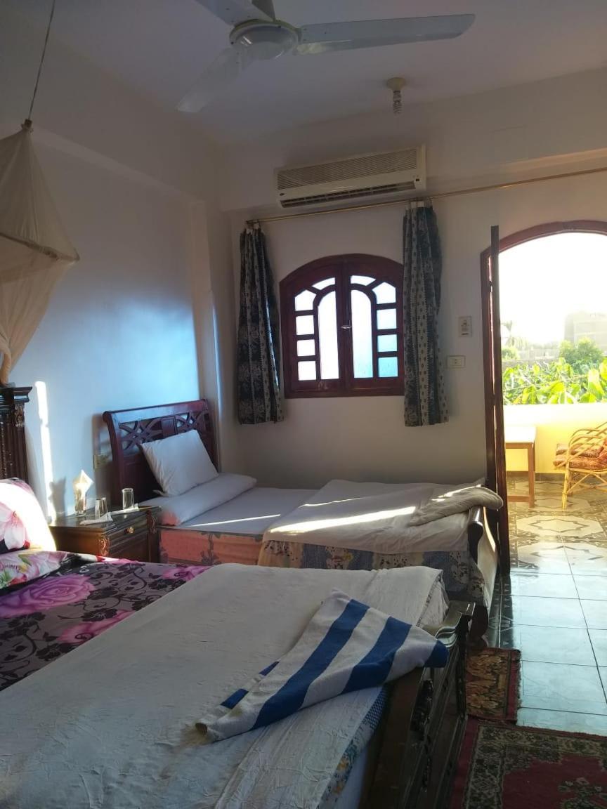 One Love Guesthouse & Restaurant الأقصر المظهر الخارجي الصورة